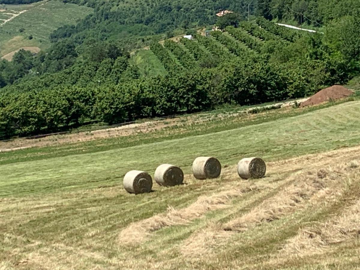 La Luce Delle Colline Bed and Breakfast Serravalle delle Langhe Buitenkant foto